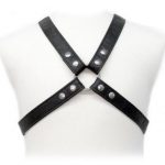 LEATHER LASIC HARNESS