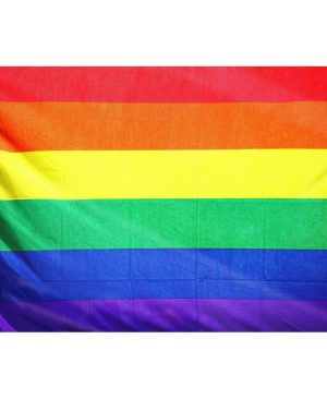 bandera-orgullo-lgbt-90-cm