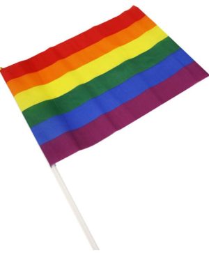 banderin-grande-colores-bandera-lgbt